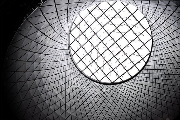worm-s-eye-of-white-and-black-inside-basket-158571